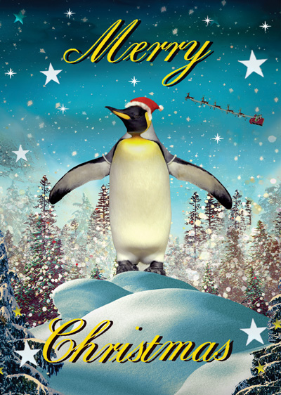 Penguin Christmas Greeting Card by Max Hernn